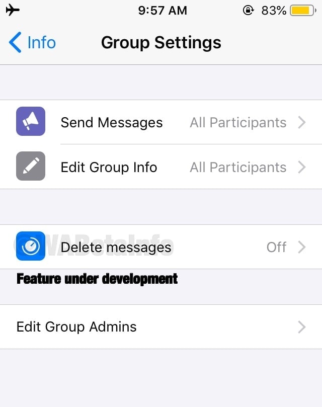 Group Info section in WhatsApp showing delete messages feature.