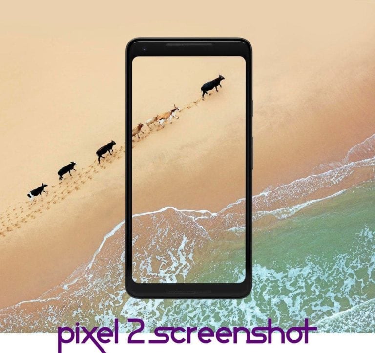 screenshot on Pixel 2 and pixel 2 XL