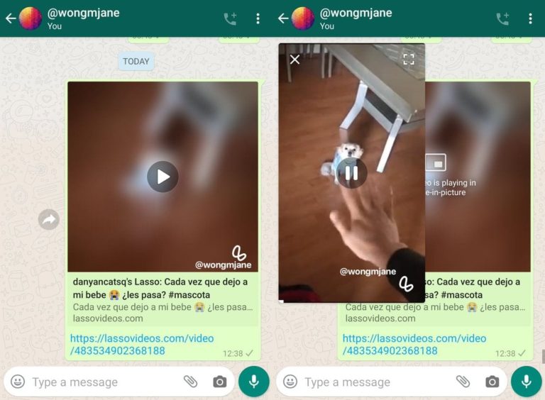 WhatsApp is working on Lasso integration