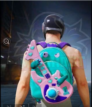 PUBG (Backpack Skin)