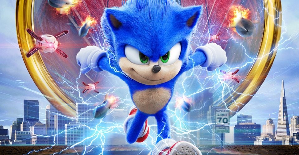 The sonic the hedgehog