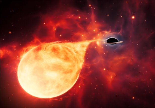Intermediate-Size Black Hole