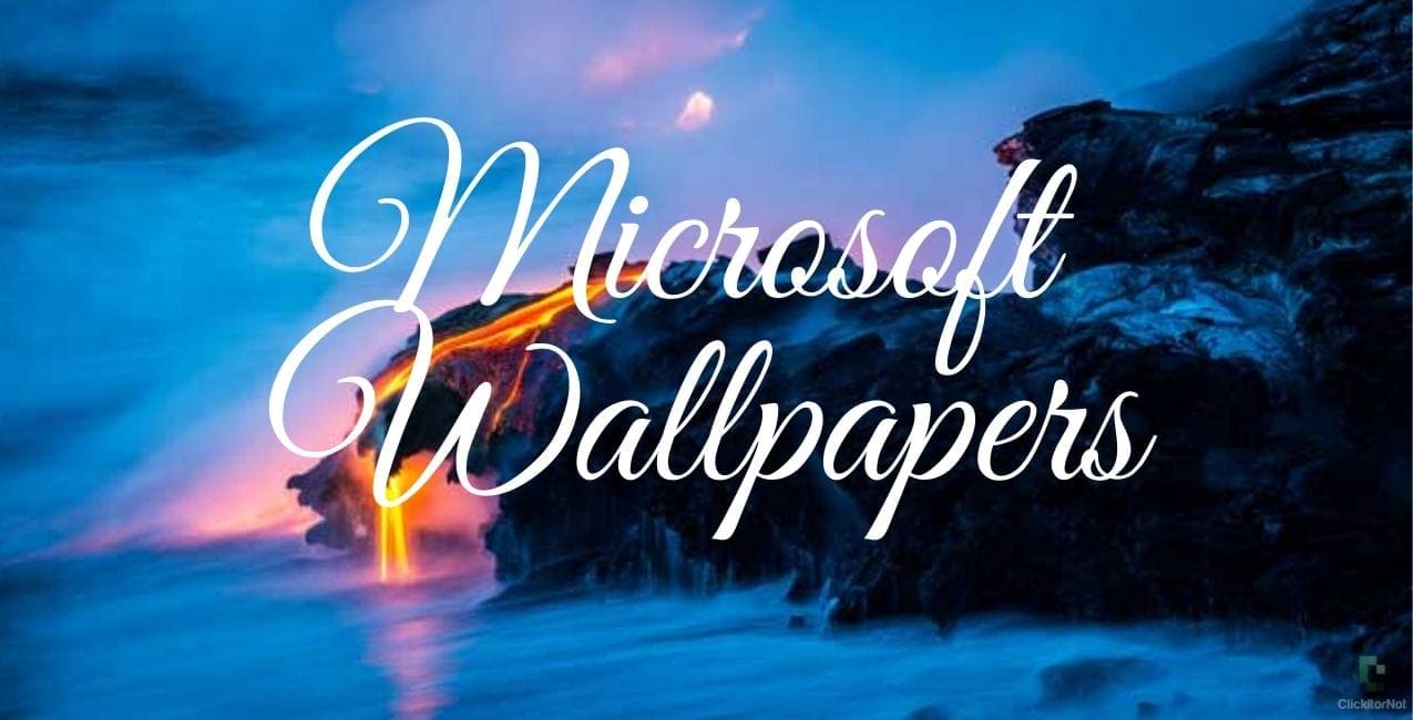 Microsoft Wallpapers