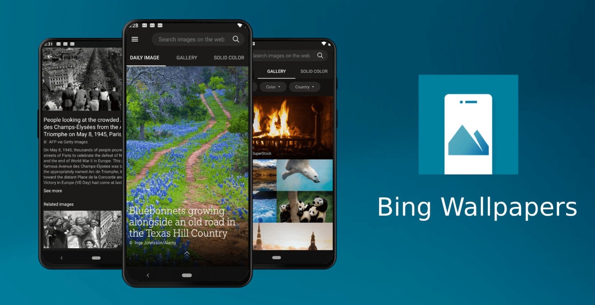 Microsoft Bing Wallpapers