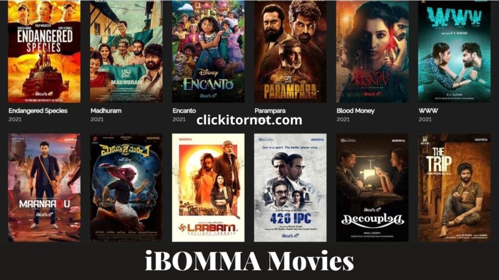 iBomma Download and Watch HD Telugu Movies Online Free