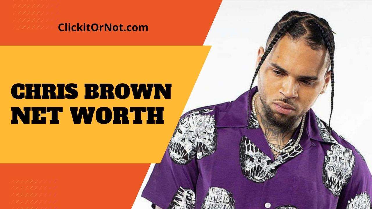 Chris Brown Net Worth Age Career Wiki Biography 