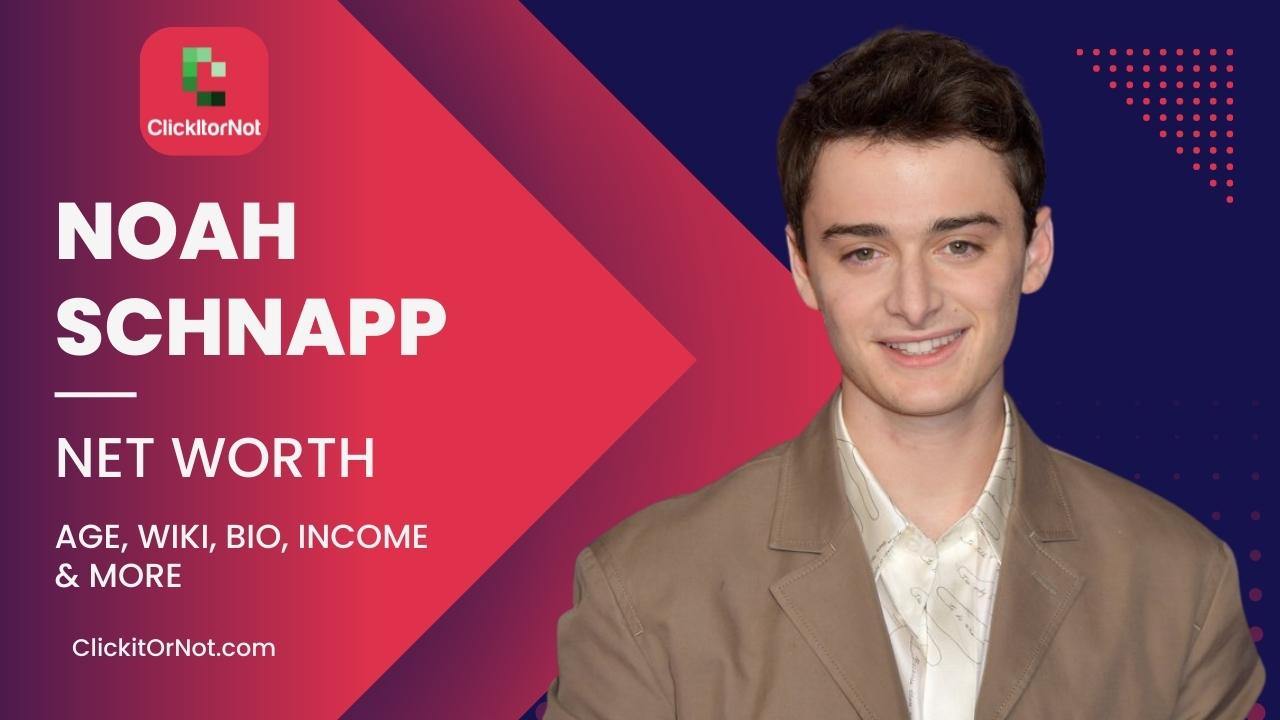 What is Noah Schnapp's Net Worth?