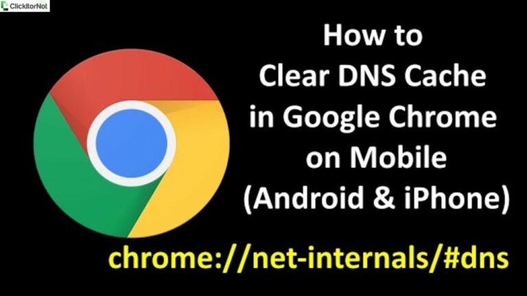 Chrome: //net-internals/#dns - Clear or flush DNS Cache on Chrome