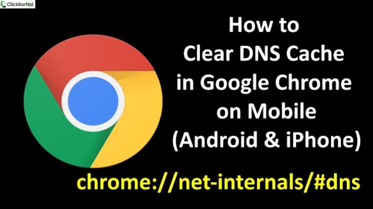 Chrome: //net-internals/#dns - Clear or flush DNS Cache on Chrome